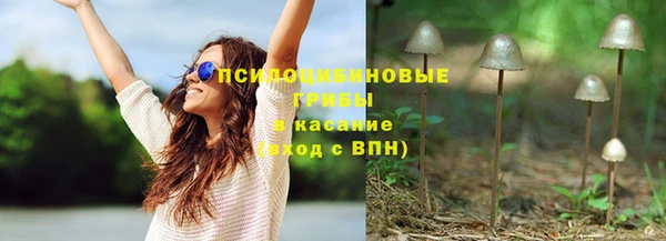 крисы Алзамай