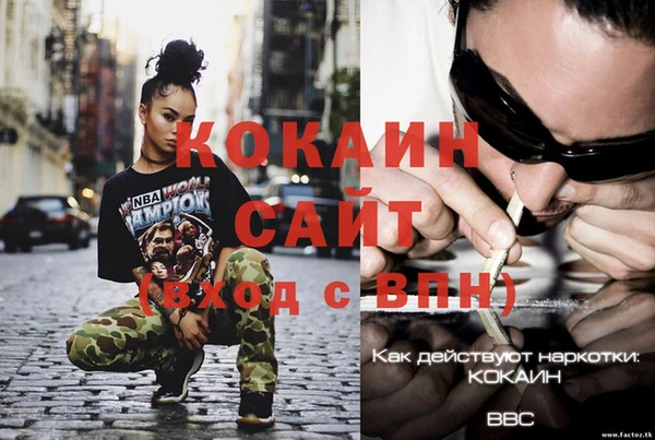 крисы Алзамай