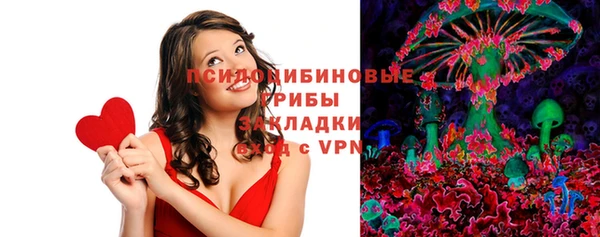 дмт Алексеевка