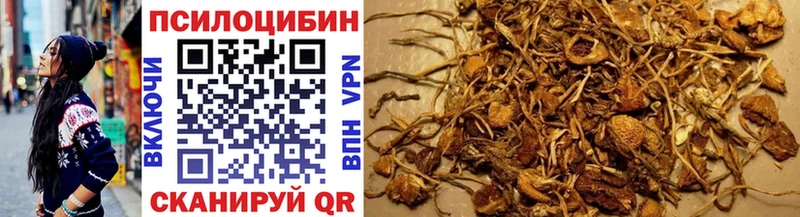 Псилоцибиновые грибы мухоморы  Купить где  Урус-Мартан 